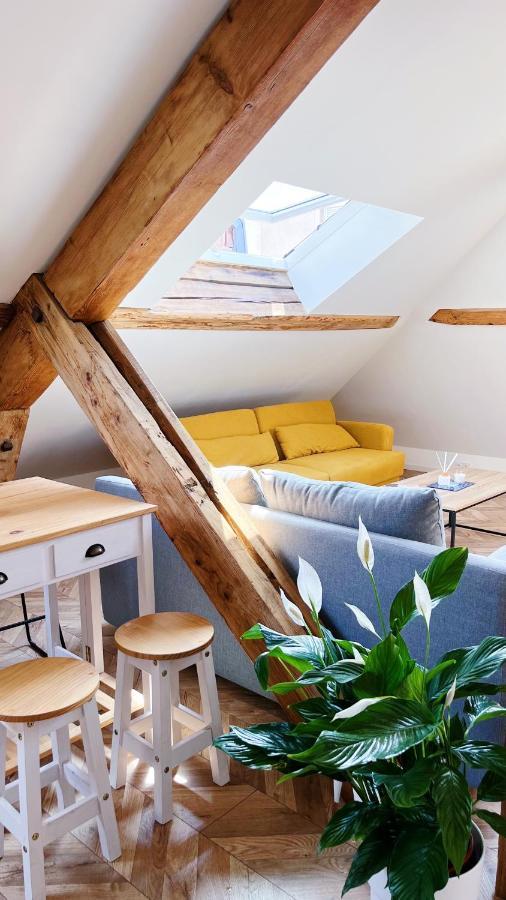 Les Appartements De Romain Et Julien 디종 외부 사진