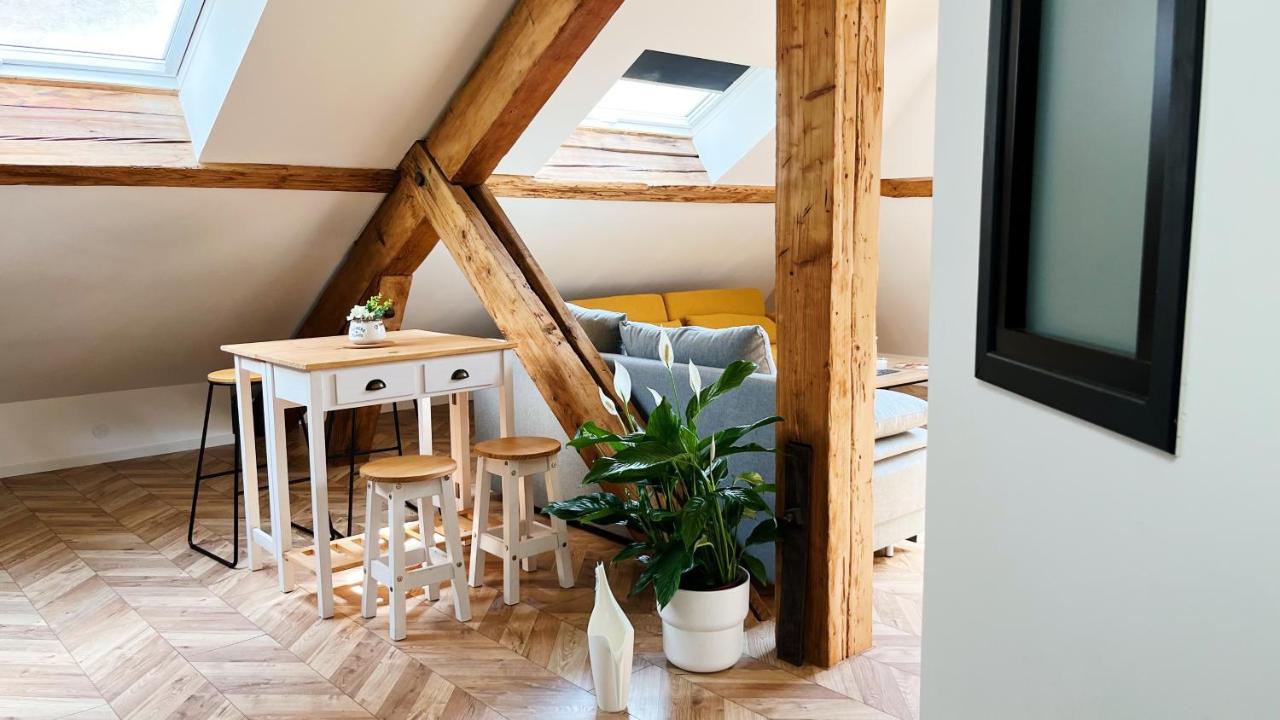 Les Appartements De Romain Et Julien 디종 외부 사진