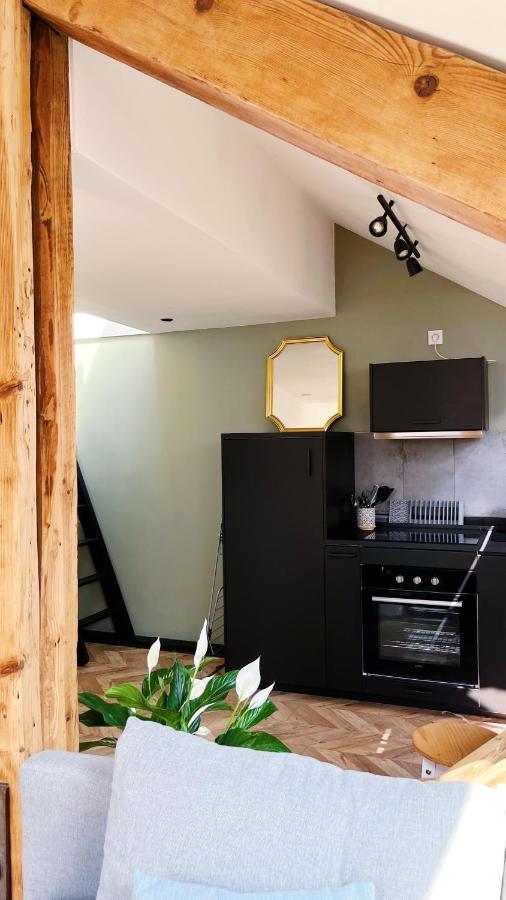 Les Appartements De Romain Et Julien 디종 외부 사진