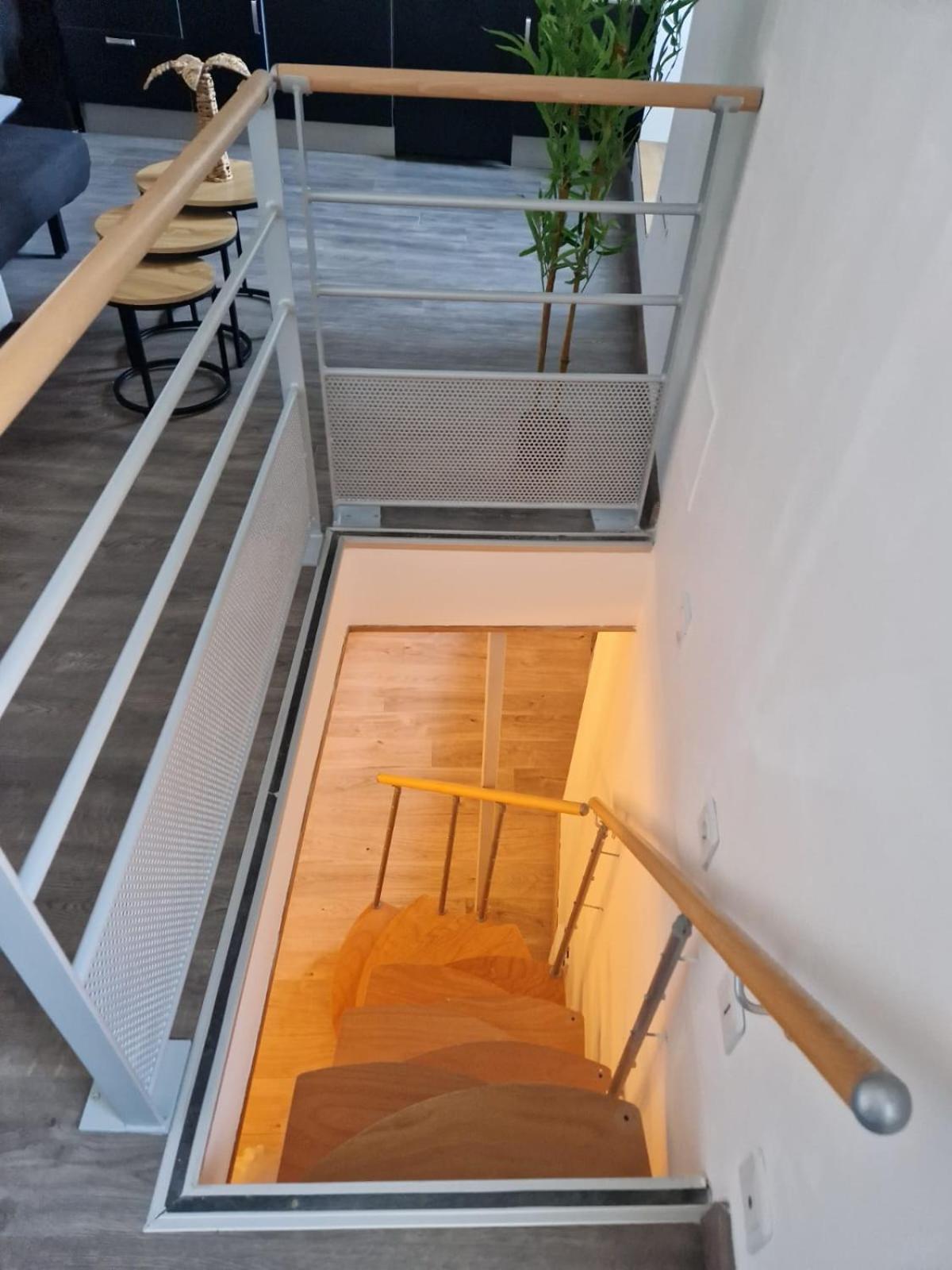 Les Appartements De Romain Et Julien 디종 외부 사진