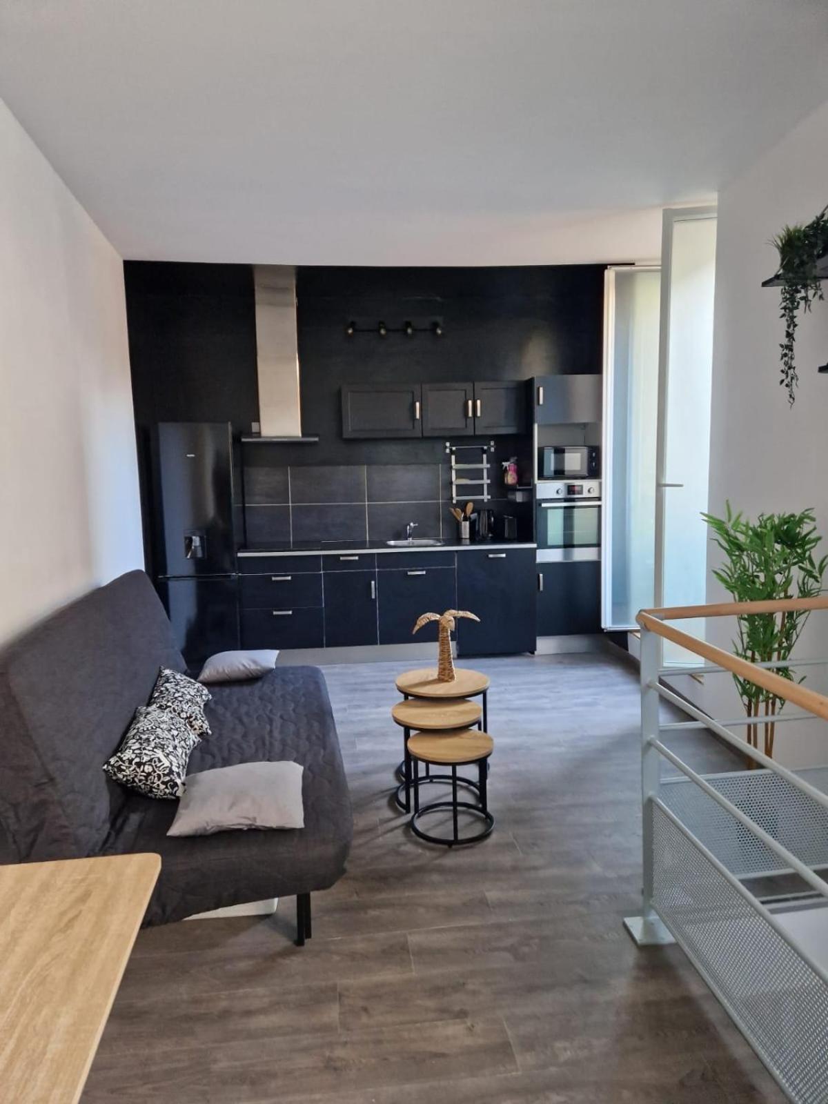 Les Appartements De Romain Et Julien 디종 외부 사진
