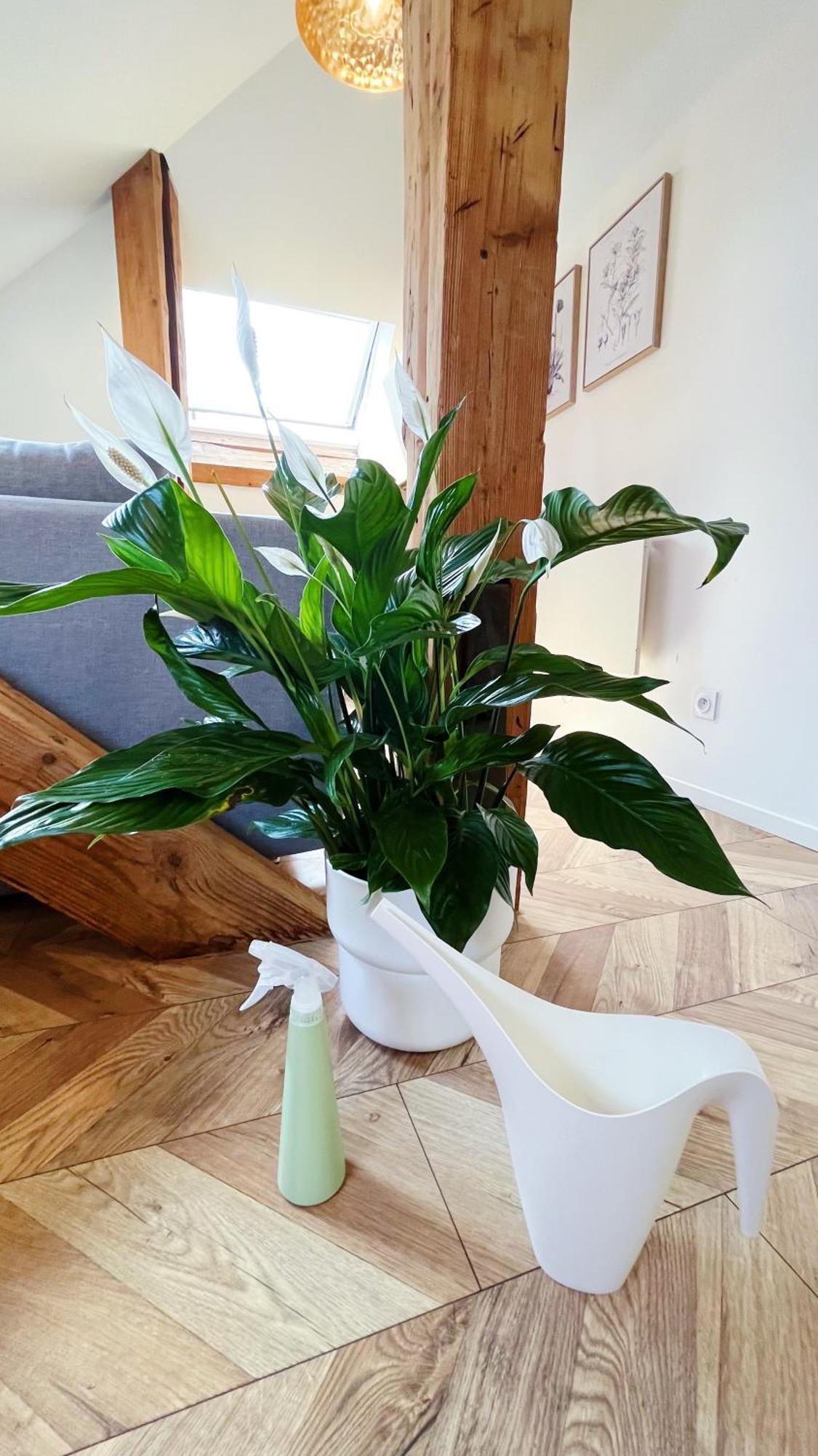 Les Appartements De Romain Et Julien 디종 외부 사진