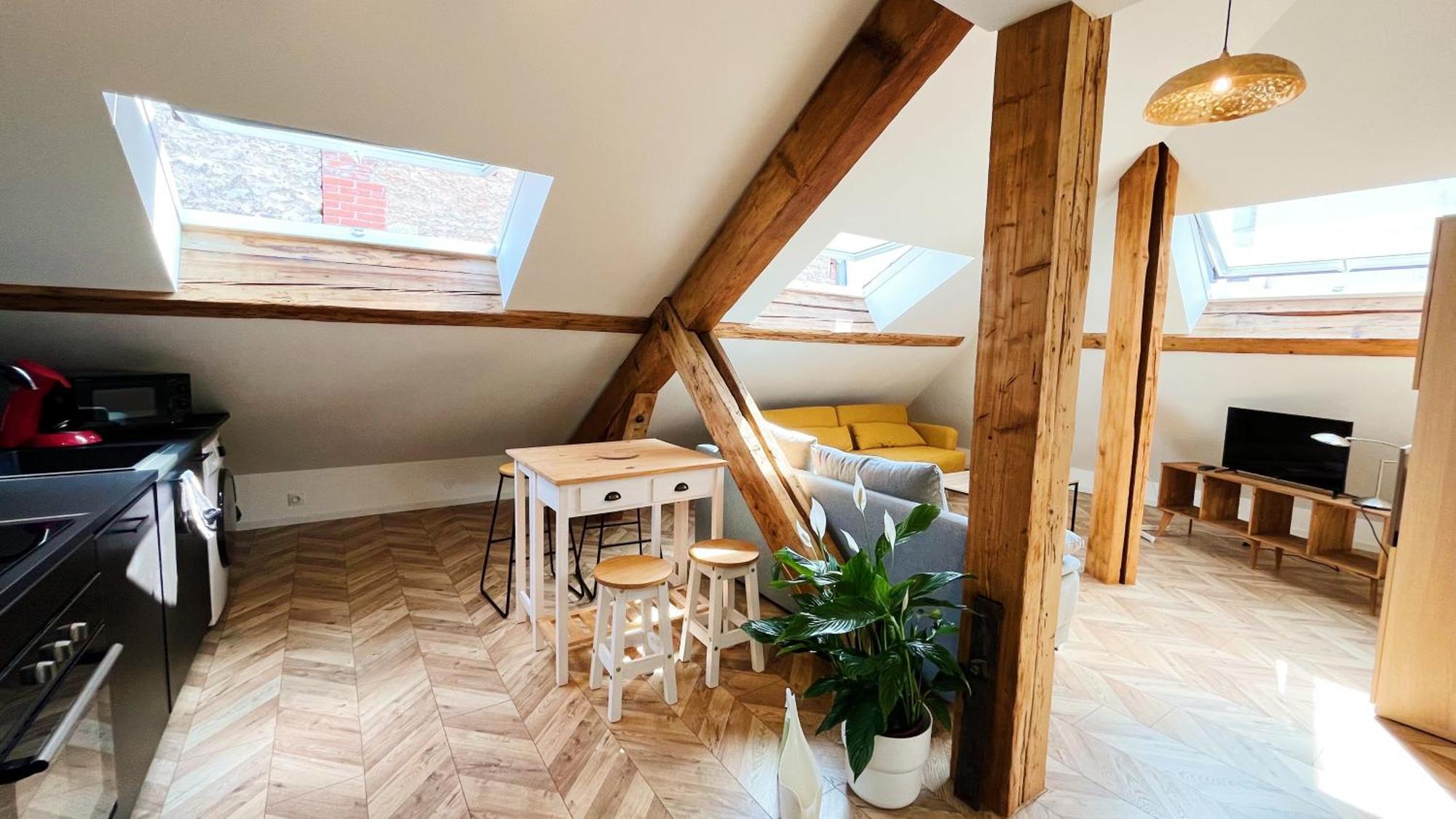 Les Appartements De Romain Et Julien 디종 외부 사진