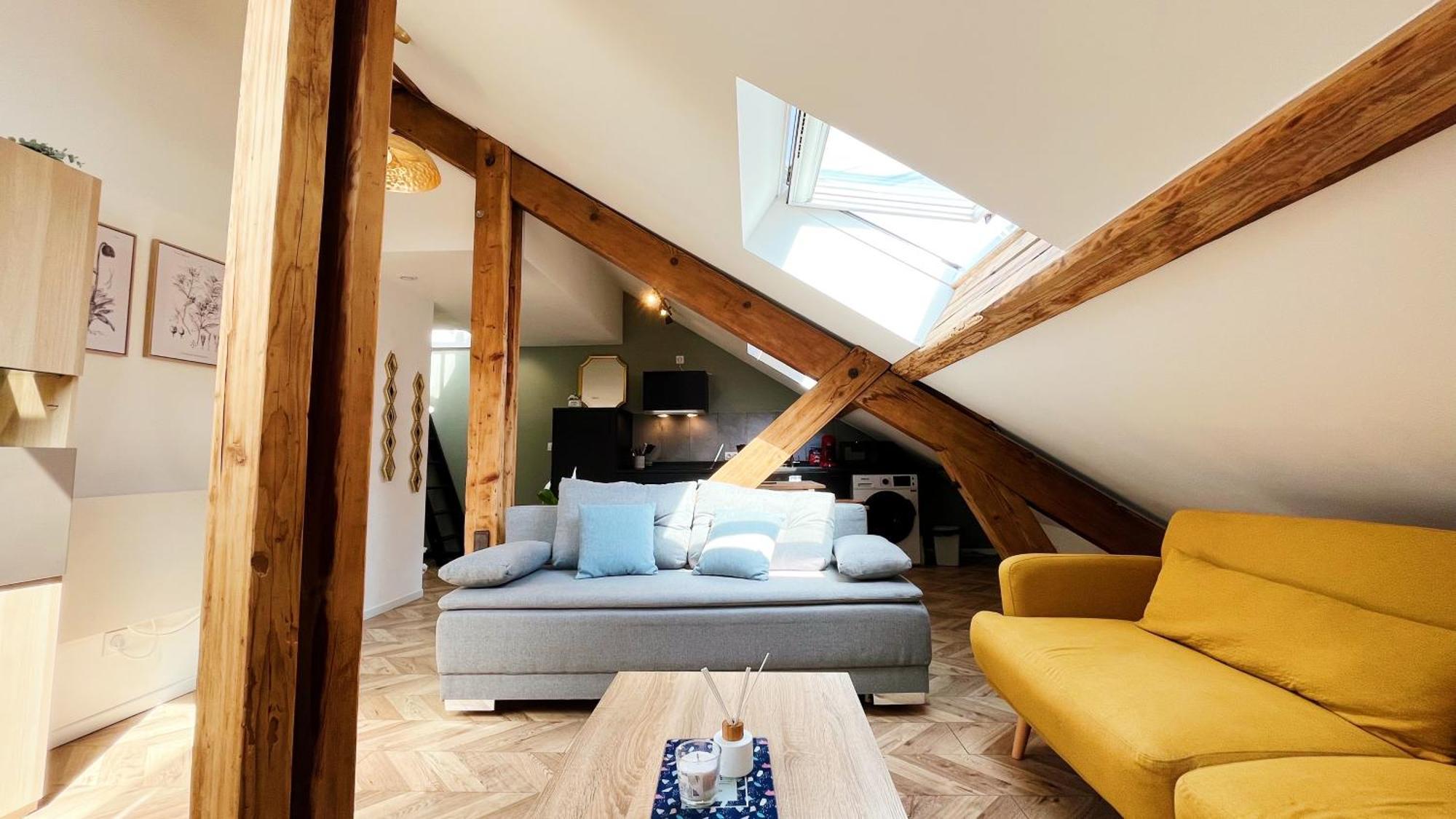 Les Appartements De Romain Et Julien 디종 외부 사진