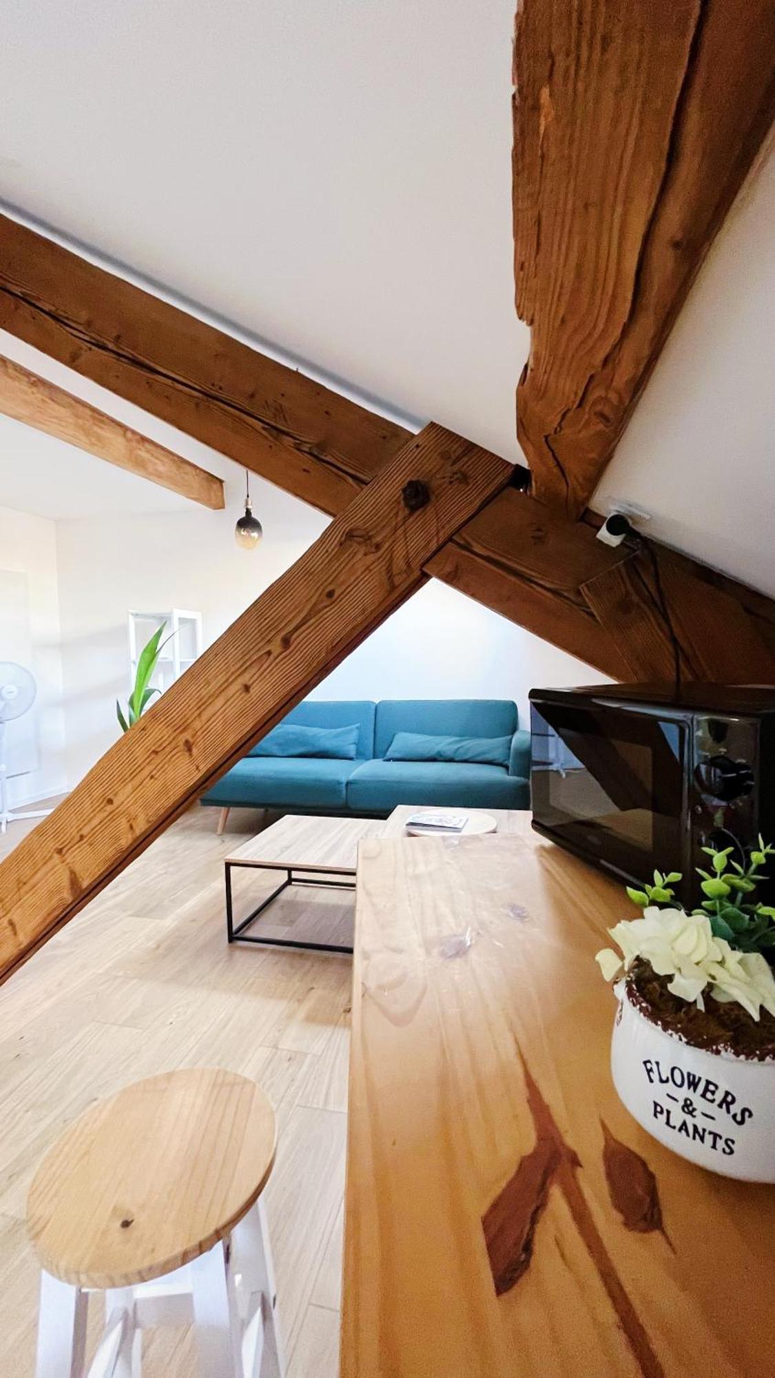 Les Appartements De Romain Et Julien 디종 외부 사진