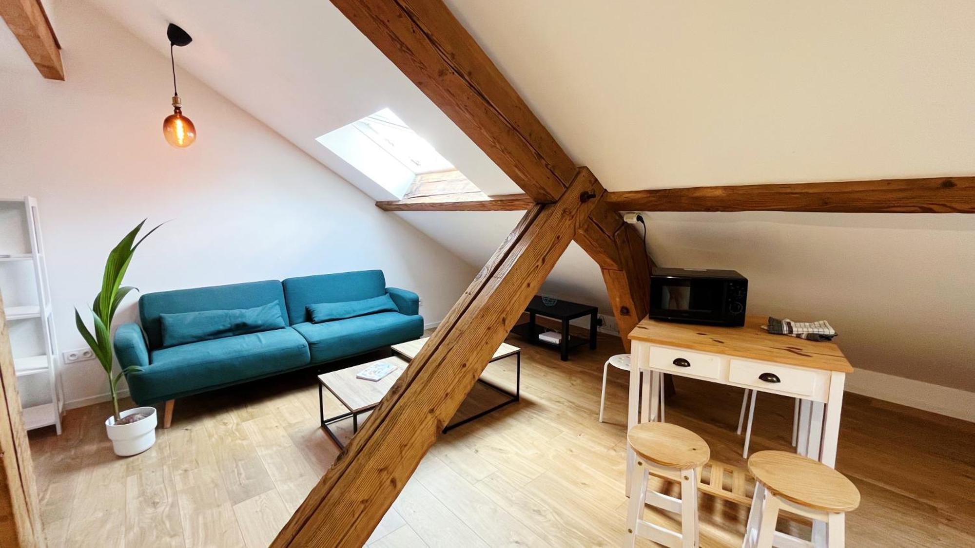 Les Appartements De Romain Et Julien 디종 외부 사진