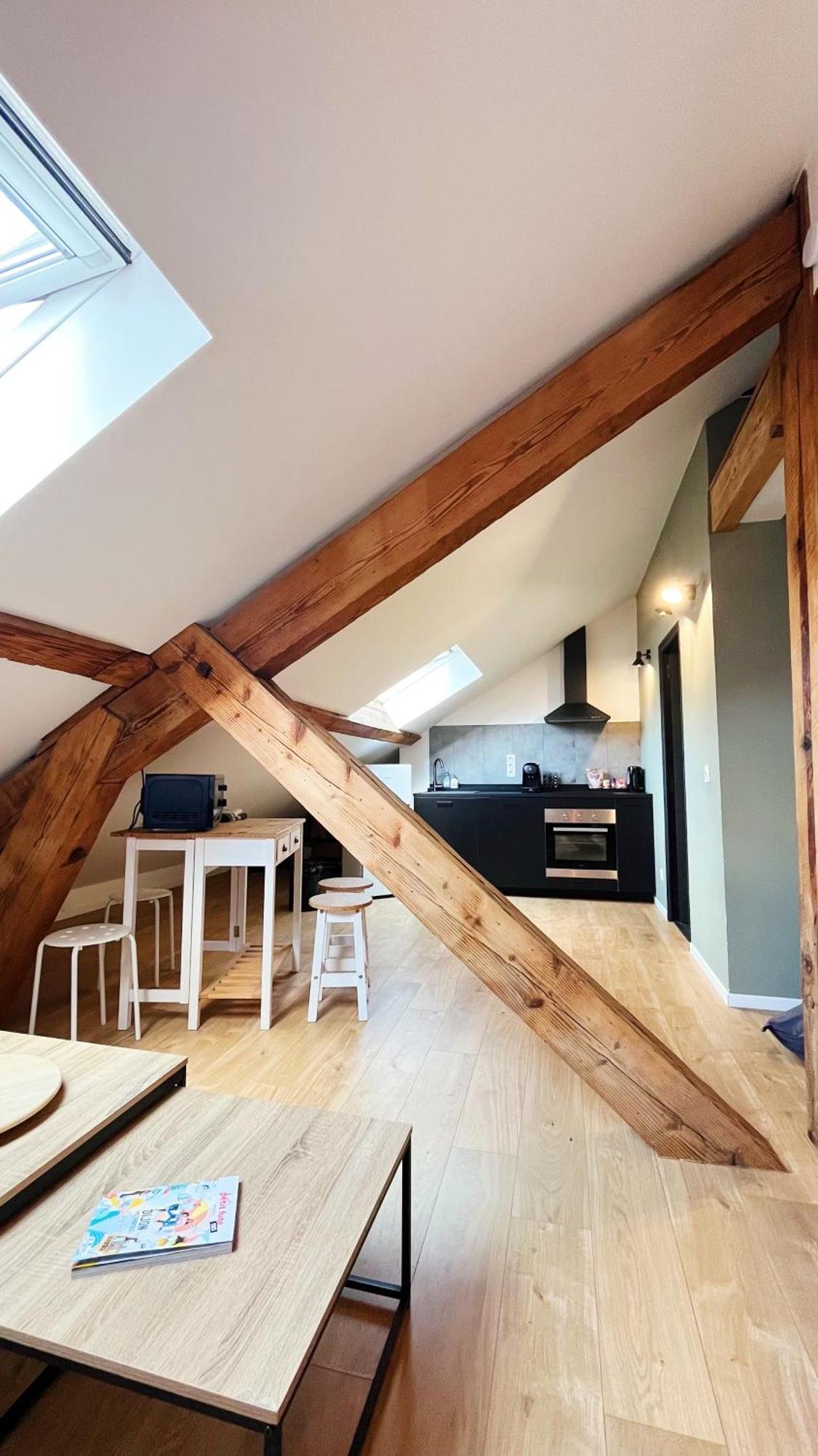 Les Appartements De Romain Et Julien 디종 외부 사진