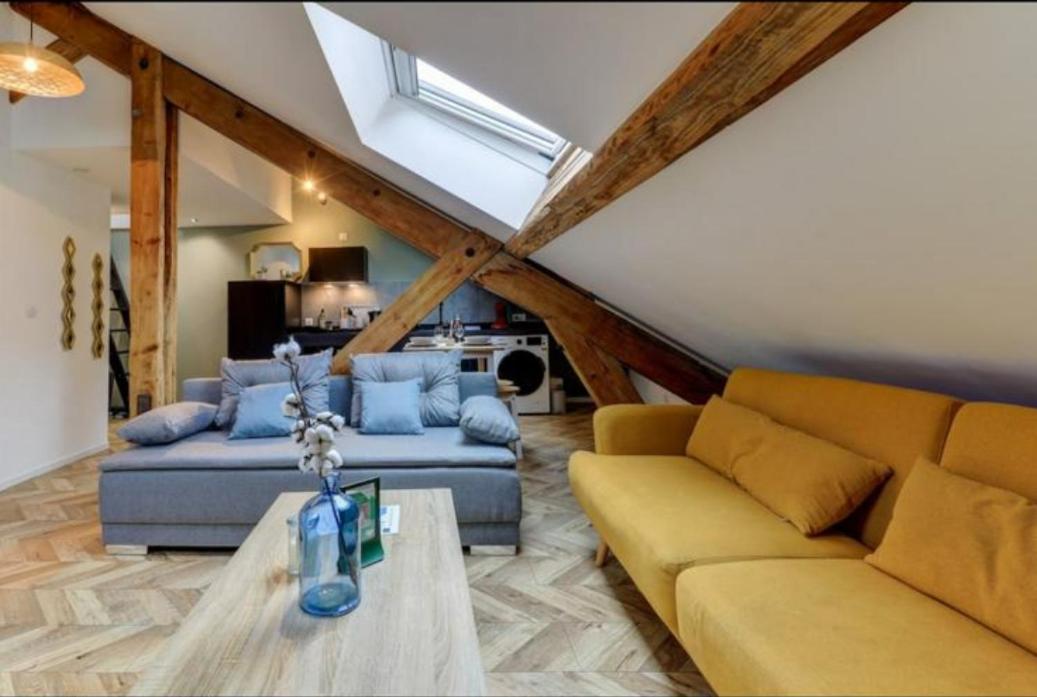 Les Appartements De Romain Et Julien 디종 외부 사진